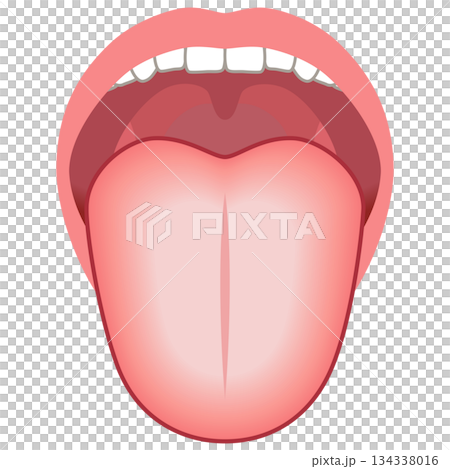 舌苔が白い　舌でわかる健康状態　舌診　舌の健康 134338016