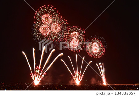 夜空に煌めく花火 134338057