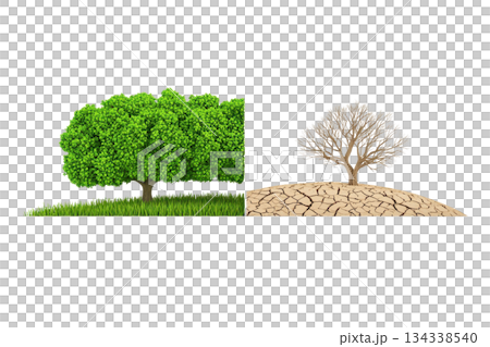 A vibrant green tree contrasts with a dry, leafless tree, symbolizing the impact of environmental changes. 134338540