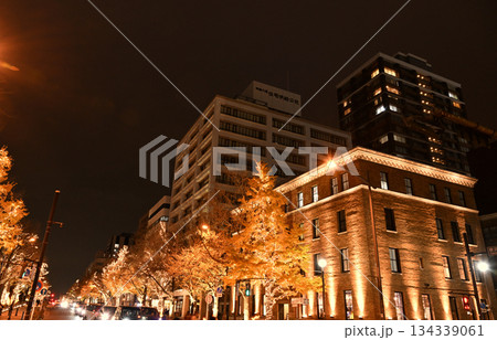 日本大通りの夜景とTHE BAYS 134339061