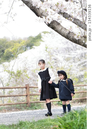 桜と入園式を迎えた3歳の女の子と9歳の姉 134339136