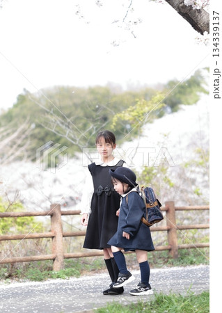 桜と入園式を迎えた3歳の女の子と9歳の姉 134339137