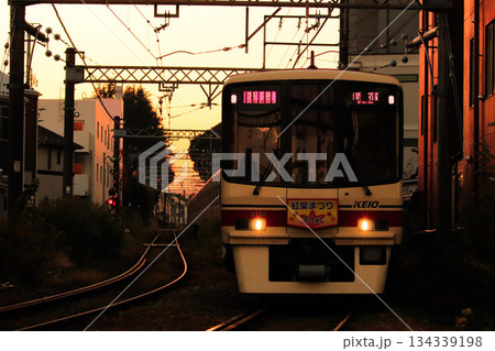 夕暮れ時の競馬場線 134339198