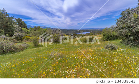 Azud del Acueducto Hiking Route, Sierra de Guadarrama National Park, Spain 134339343