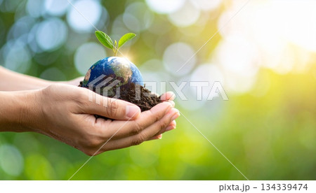 小さな地球儀と芽を優しく持つ人間の手のクローズアップ写真（環境責任と地球保護の象徴） 134339474