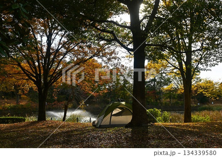 秋深まる公園でソロキャンプを楽しむ 134339580