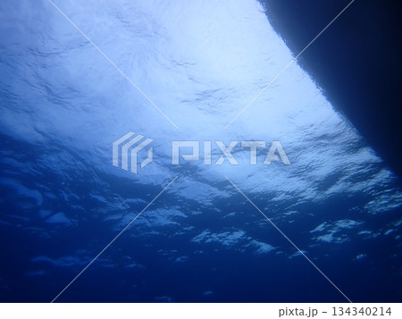 海の中から見上げた水面の景色 134340214