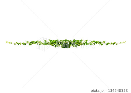 vine frame leaf vine circle Isolate on transparent background PNG file vine frame leaf vine circle Isolate on transparent background PNG file 134340538