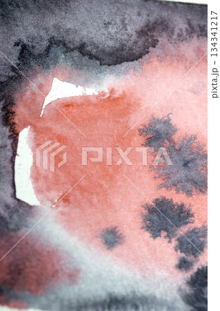 Acrylic Black and Red Ink Paint Splatters and Spots Blot on White for Background 134341217