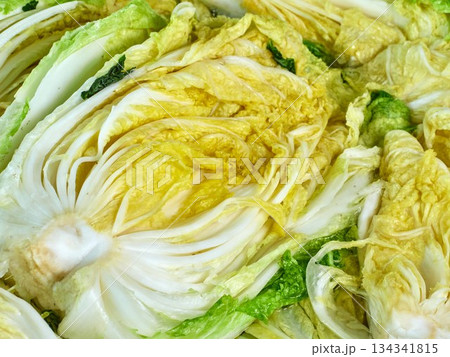 Salted napa cabbage for Kimjang 134341815