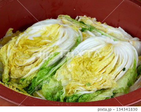 Salted napa cabbage for Kimjang 134341830