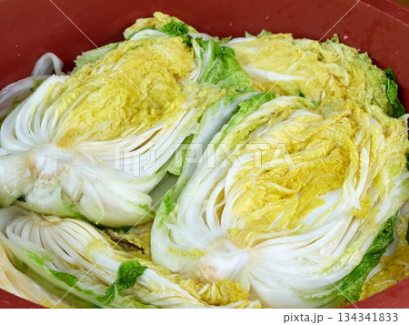 Salted napa cabbage for Kimjang Salted napa cabbage for Kimjang 134341833