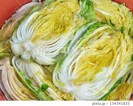 Salted napa cabbage for Kimjang 134341835