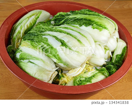Salted napa cabbage for Kimjang Salted napa cabbage for Kimjang 134341838