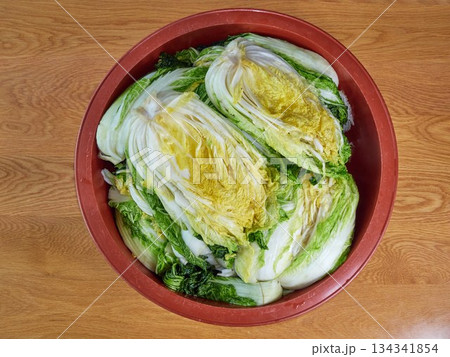 Salted napa cabbage for Kimjang 134341854
