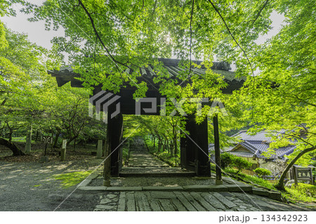 秋月　秋月城　黒門（大手門）　福岡県朝倉市 134342923