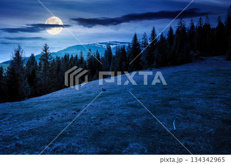 mountain landscape with spruce forest in spring at night. meadow on the hill on a in full moon light. distant range with peaks in snow under sky with clouds. beautiful countryside scenery mountain landscape with spruce forest in spring at night. meadow on the hill on a in full moon light. distant range with peaks in snow under sky with clouds. beautiful countryside scenery 134342965