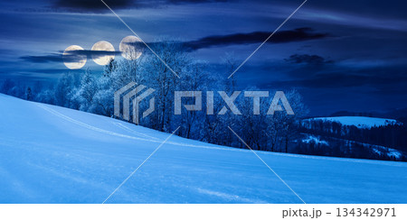 panorama of a beautiful winter landscape at night. forest on a snow covered meadow in full moon light. trees in hoarfrost in wonderful frosty weather. backdrop for fiction art or mystery concepts 134342971