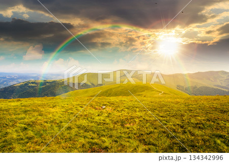 alpine meadows in mountains in summer at sunset. beautiful view of rolling hills with lush green grass under blue sky in evening light. travel destination storytelling image under the rainbow 134342996