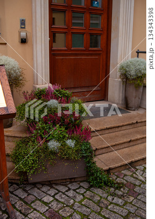 Planter with various plants near entrance of a building in a city Planter with various plants near entrance of a building in a city 134343398