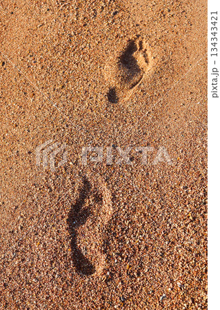 Footprints on the seashore, a symbol of serenity and a long-awaited vacation Footprints on the seashore, a symbol of serenity and a long-awaited vacation 134343421