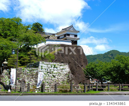 大分県 臼杵城跡 大分県 臼杵城跡 134343861