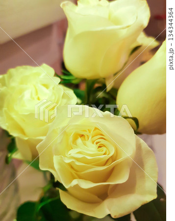 Delicate yellow roses bouquet close up vertical Delicate yellow roses bouquet close up vertical 134344364