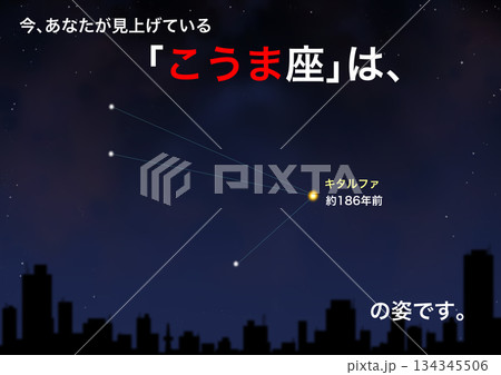 星座_こうま座 星座_こうま座 134345506