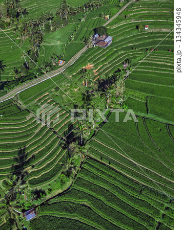 Terraced Rice Fields, Peaceful Rural Scene With Winding Roads And Green Paddies 134345948