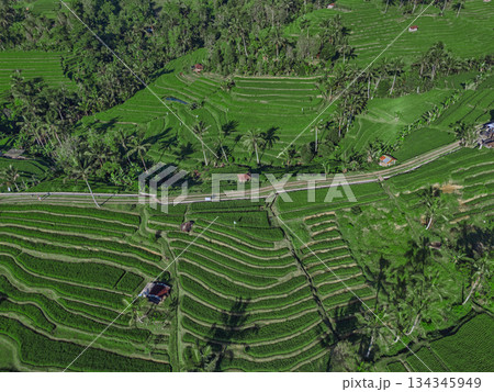 Terraced Rice Fields, Peaceful Rural Scene With Winding Roads And Green Paddies 134345949