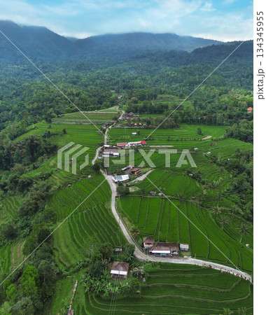 Idyllic Bali Countryside Featuring Winding Mountain Roads AndRice Terraces 134345955