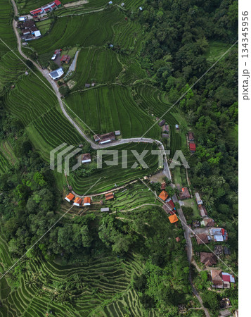 Idyllic Bali Countryside Featuring Winding Mountain Roads Idyllic Bali Countryside Featuring Winding Mountain Roads 134345956