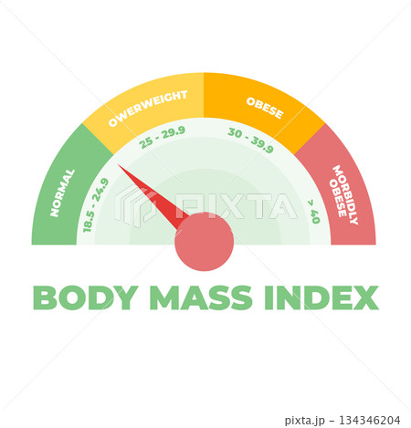 BMI or Body Mass Index meter. Vector illustration. 134346204