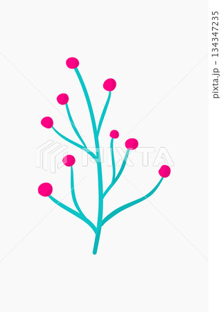 Minimalist Botanical Illustration of Branch with Pink Berries on White Background Minimalist Botanical Illustration of Branch with Pink Berries on White Background 134347235