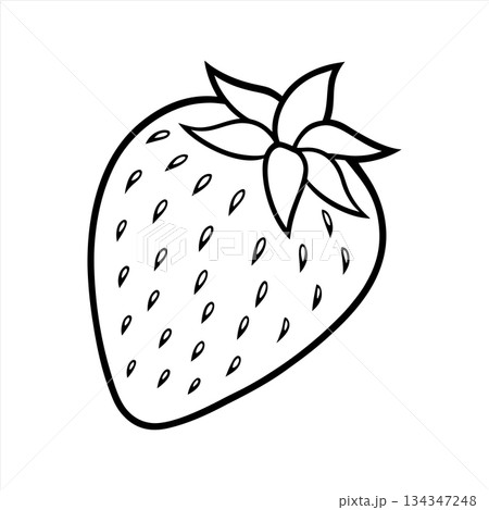 Strawberry Outline Fresh Fruit Black and White Illustration for coloring pages Strawberry Outline Fresh Fruit Black and White Illustration for coloring pages 134347248