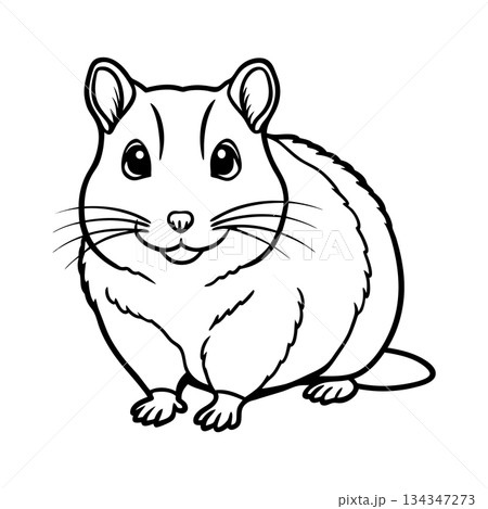 Cute hamster illustration in black and white line art style 134347273