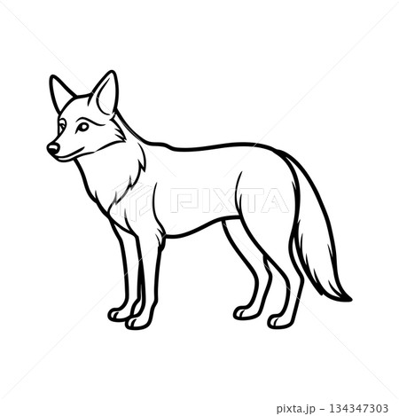 Minimalist Fox Outline Illustration Vector Image Animal Drawing Design 134347303