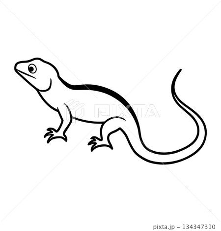 Simple line drawing of a cartoon lizard illustration vector image Simple line drawing of a cartoon lizard illustration vector image 134347310