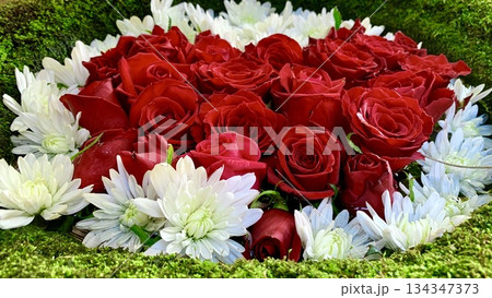 真紅の薔薇と白菊でハートを形作った12月の花手水(薔薇・菊・苔)〈菅生神社/愛知県岡崎市〉 真紅の薔薇と白菊でハートを形作った12月の花手水(薔薇・菊・苔)〈菅生神社/愛知県岡崎市〉 134347373