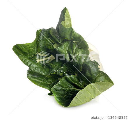 Bok choy in studio 134348535