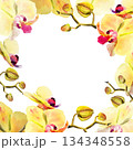 watercolor frame with yellow and red orchid flowers, buds and twigs, hand drawn tropical plant, floral sketch of blossom flowers, botanical illustration for wedding decoration 134348558