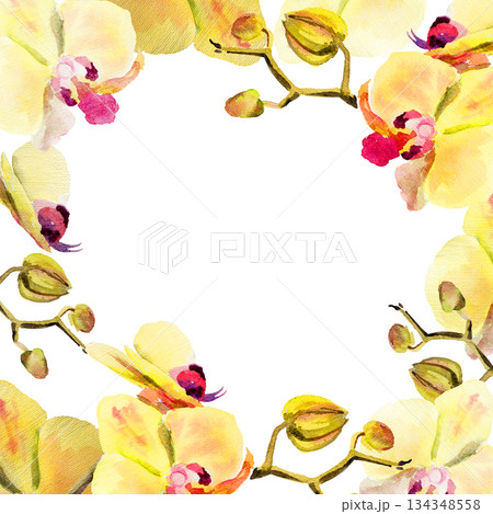 watercolor frame with yellow and red orchid flowers, buds and twigs, hand drawn tropical plant, floral sketch of blossom flowers, botanical illustration for wedding decoration 134348558