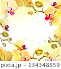 watercolor frame with yellow and red orchid flowers, buds and twigs on textured splash, hand drawn tropical plant, floral sketch of blossom flowers, botanical illustration for wedding decoration 134348559