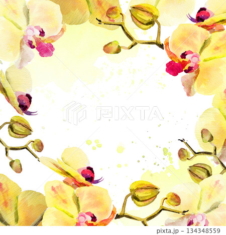 watercolor frame with yellow and red orchid flowers, buds and twigs on textured splash, hand drawn tropical plant, floral sketch of blossom flowers, botanical illustration for wedding decoration 134348559