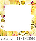 watercolor square frame with yellow and red orchid flowers, buds and twigs, hand drawn tropical plant, floral sketch of blossom flowers, botanical illustration for wedding decoration 134348560