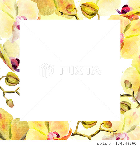 watercolor square frame with yellow and red orchid flowers, buds and twigs, hand drawn tropical plant, floral sketch of blossom flowers, botanical illustration for wedding decoration 134348560