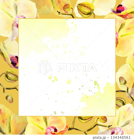 watercolor square frame with yellow and red orchid flowers, buds and twigs on deep yellow background, hand drawn tropical plant, floral sketch of blossom flowers, botanical illustration for decoration 134348561