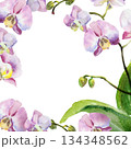 watercolor square frame with pink and purple orchid flowers, buds and green leaves, hand drawn tropical plant, floral sketch of blossom flowers, botanical illustration for wedding decoration 134348562