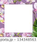 white frame on watercolor pink and purple orchid flowers background, buds and green leaves, hand drawn tropical plant, floral sketch of blossom flowers, botanical illustration for wedding decoration 134348563