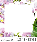 white frame on watercolor orchid flowers background, pink and purple, buds and green leaves, hand drawn tropical plant, floral sketch of blossom flowers, botanical illustration for wedding decoration 134348564